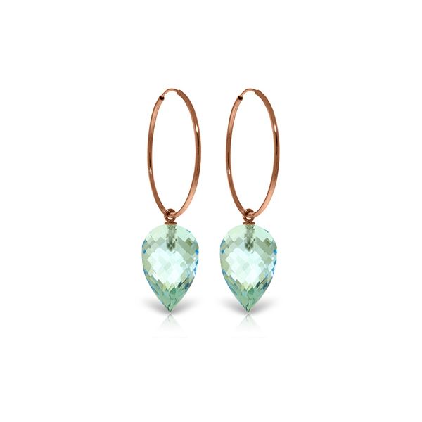 Genuine 22.5 ctw Blue Topaz Earrings 14KT Rose Gold - REF-54X9M