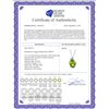 Image 2 : Genuine 2.13 ctw Peridot & Diamond Necklace 14KT White Gold - REF-28P8H