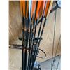 Image 2 : Martin Magnum Compound Bow w/ 13 x Easton Carbonaeros (Without Tips)