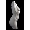 Image 4 : FEMALE TORSO by Charles Lynn Bragg