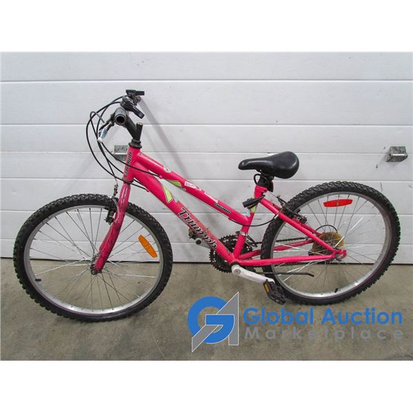 Youth 24" Raleigh Triumph Mountain Bike