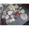 Image 10 : Crafting Shells and Coral