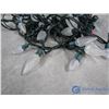 Image 2 : **Holiday Light