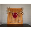 Image 1 : decorative antlers