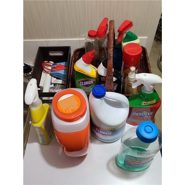Assorted Cleaning Supplies