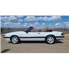 Image 3 : 1991 FORD MUSTANG LX CONVERTIBLE 5.0L