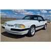 Image 8 : 1991 FORD MUSTANG LX CONVERTIBLE 5.0L