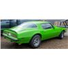 Image 3 : 1975 PONTIAC FIREBIRD 8 CYLINDER