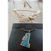 Image 2 : 11 Necklaces, Most are Native American