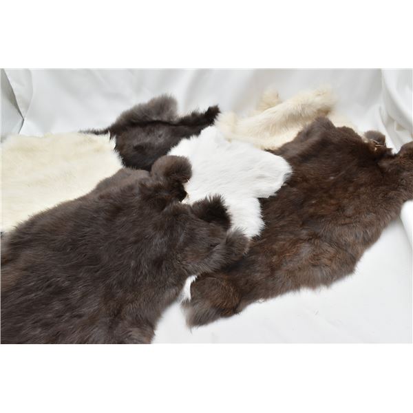 6 Rabbit Pelts