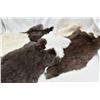 Image 1 : 6 Rabbit Pelts
