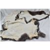 Image 3 : 6 Rabbit Pelts