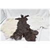Image 4 : 6 Rabbit Pelts