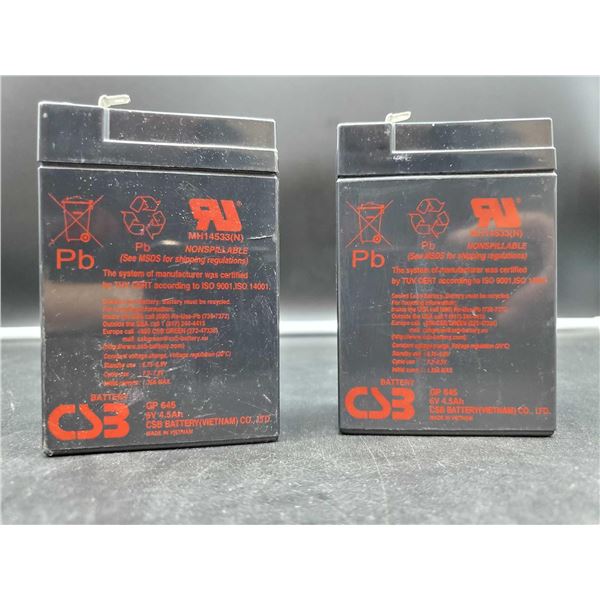 6V CSB Battery (2ct)