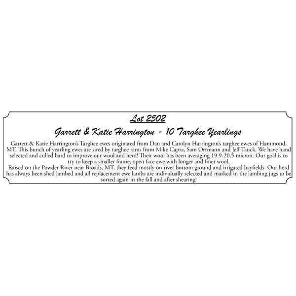 10 Yearlings - Garrett & Katie Harrington
