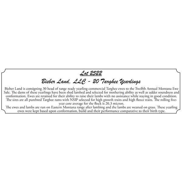 20 Yearlings - Bieber Land, LLC