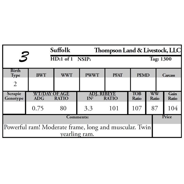Thompson Land and Livestock