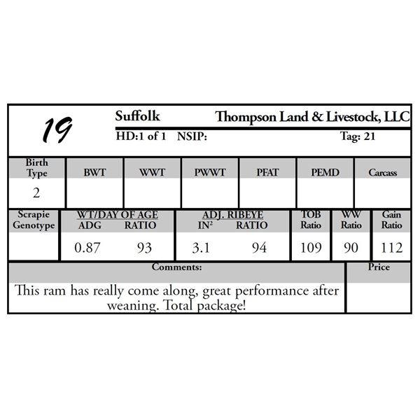 Thompson Land and Livestock