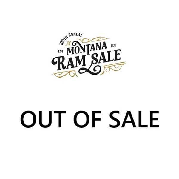 OUT OF SALE