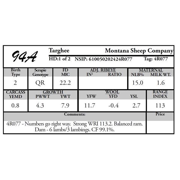 Montana Sheep Co.