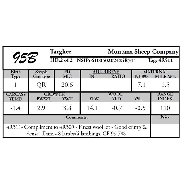 Montana Sheep Co.