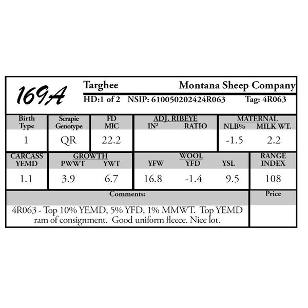 Montana Sheep Co.
