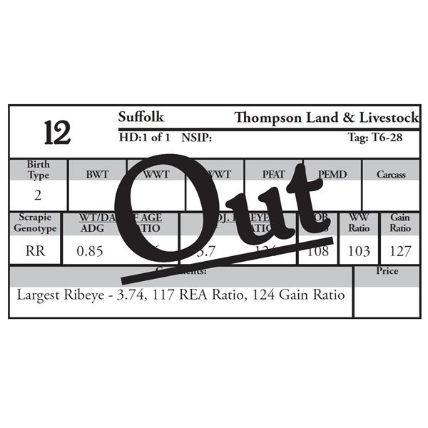 OUT OF SALE