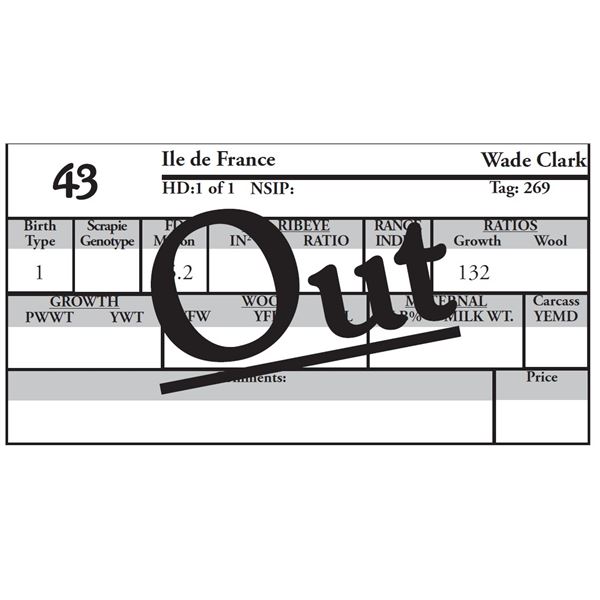 OUT OF SALE