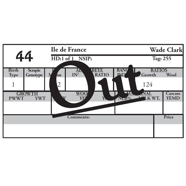 OUT OF SALE