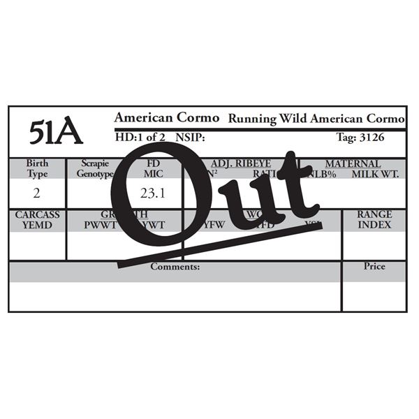 OUT OF SALE