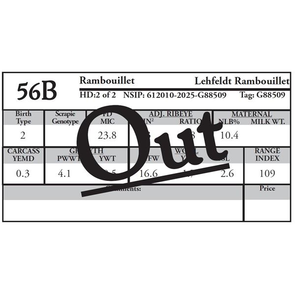 OUT OF SALE
