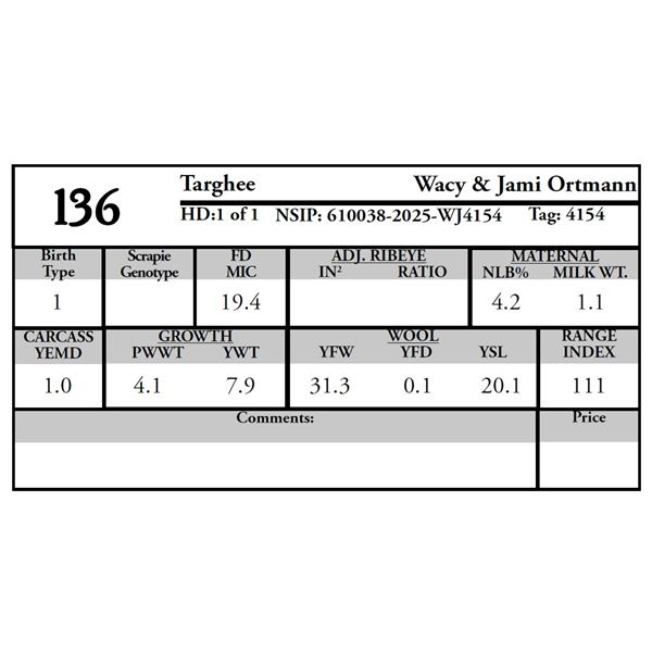 Wacy Ortmann - 1 Targhee Ram
