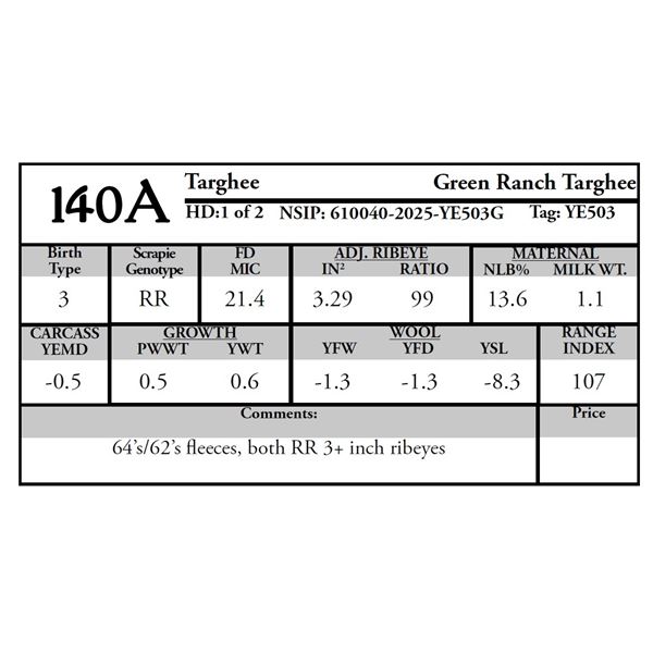 Green Ranch Targhees - 1 of 2 Targhee Ram