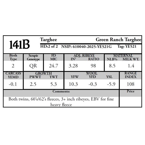 Green Ranch Targhees - 2 of 2 Targhee Ram