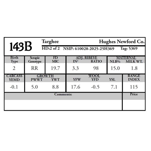 Hughes Newford Co. - 2 of 2 Targhee Ram