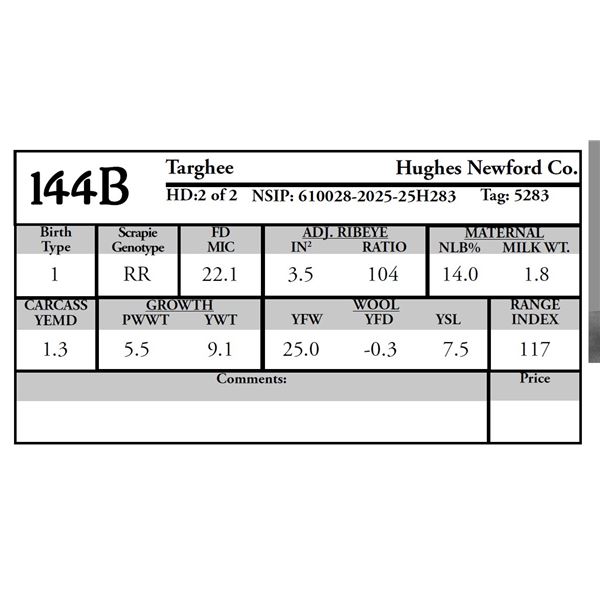 Hughes Newford Co. - 2 of 2 Targhee Ram