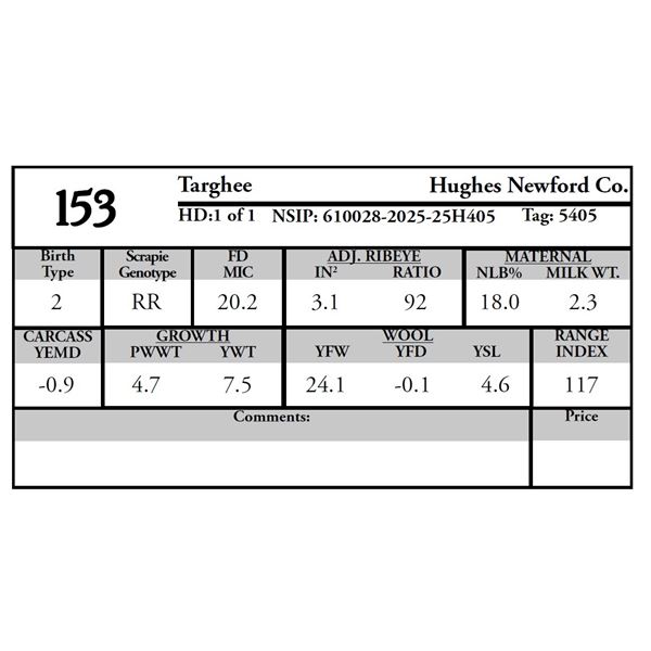 Hughes Newford Co. - 1 Targhee Ram