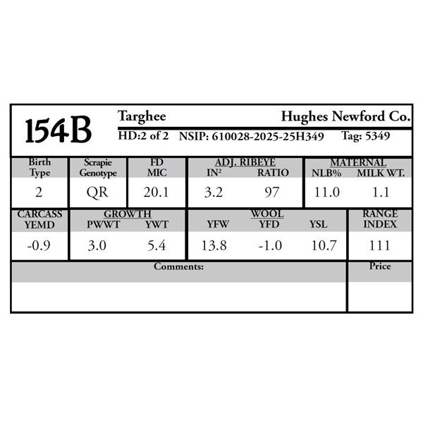Hughes Newford Co. - 2 of 2 Targhee Ram