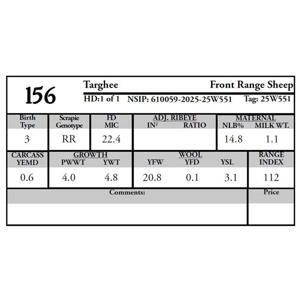 Front Range Sheep -  Targhee Ram