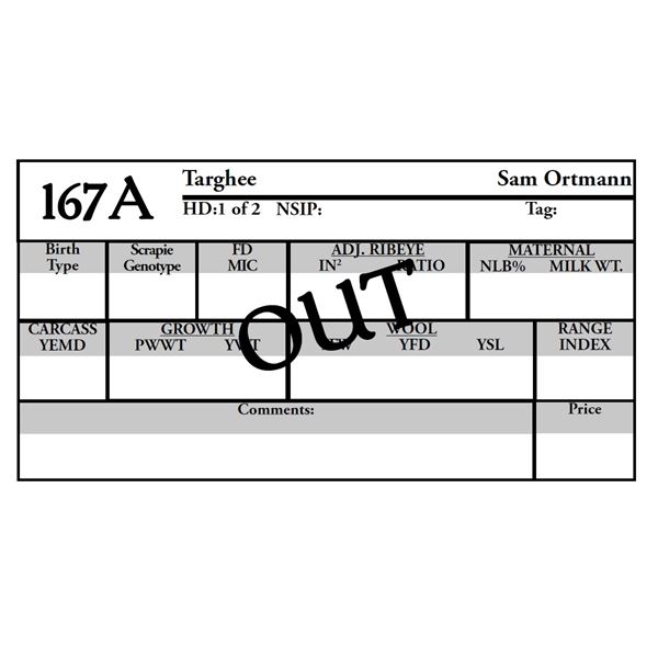 Sam Ortmann -  OUT OF SALE Ram