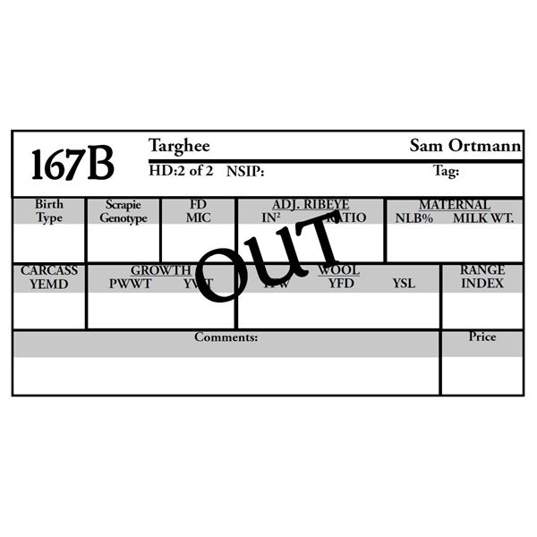 Sam Ortmann -  OUT OF SALE Ram