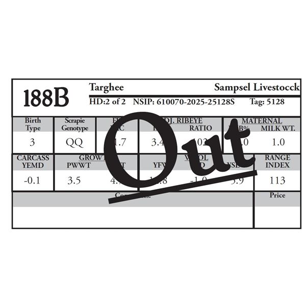 OUT OF SALE