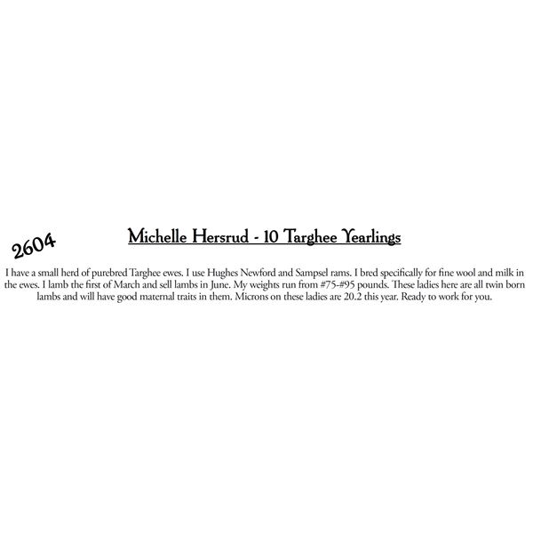 Michelle Hersrud  - 10 HD Targhee Yearlings