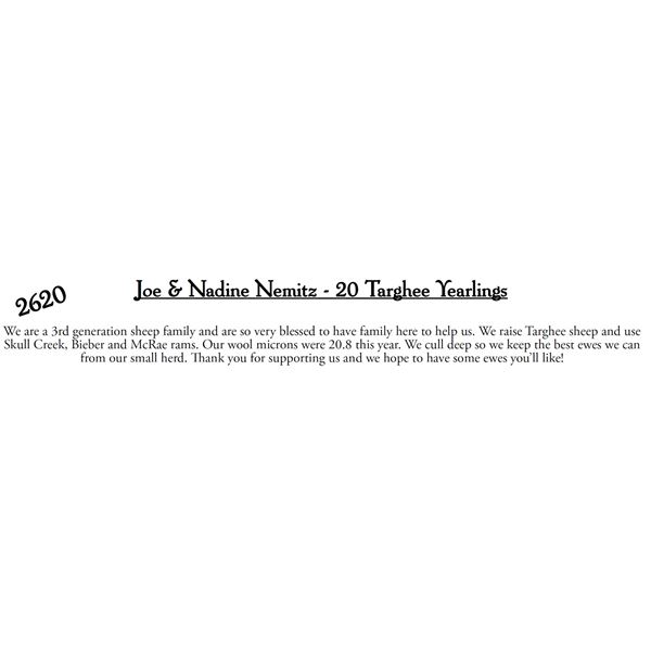 Joe & Nadien Nemitz  - 20 HD Targhee Yearlings