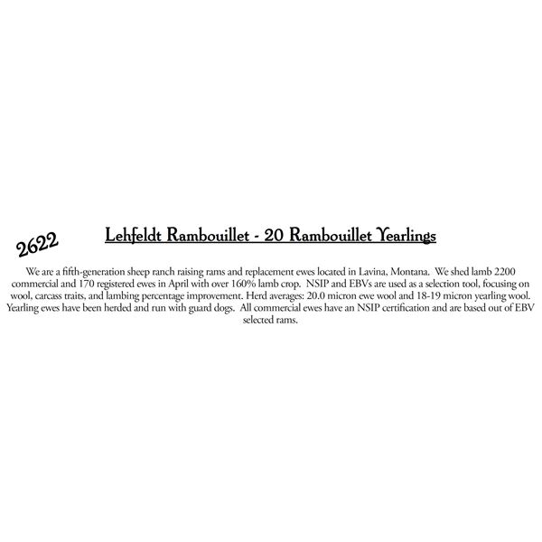 Lehfeldt Rambouillet  - 20 HD Ramboillet Yearlings