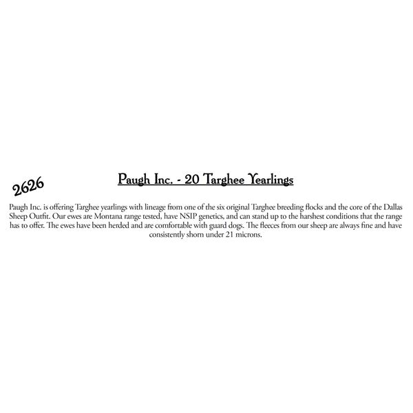 Paugh Inc.  - 20 HD Targhee Yearlings