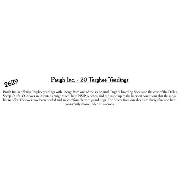 Paugh Inc.  - 20 HD Targhee Yearlings