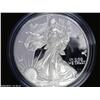 Image 1 : 2002 (W) Silver American Eagle Proof Coin