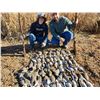 Image 2 : Argentina Dove Shooting Trip for 6