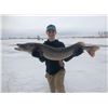 Image 1 : 3-Day North Dakota Ice Fishing/Spearing Adventure for 2 Anglers